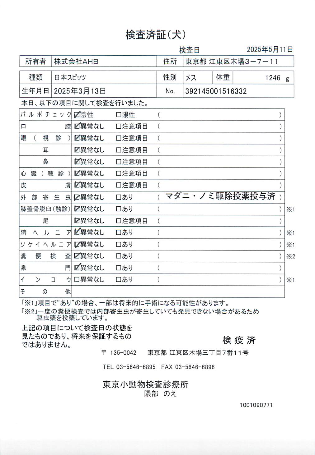 日本スピッツ