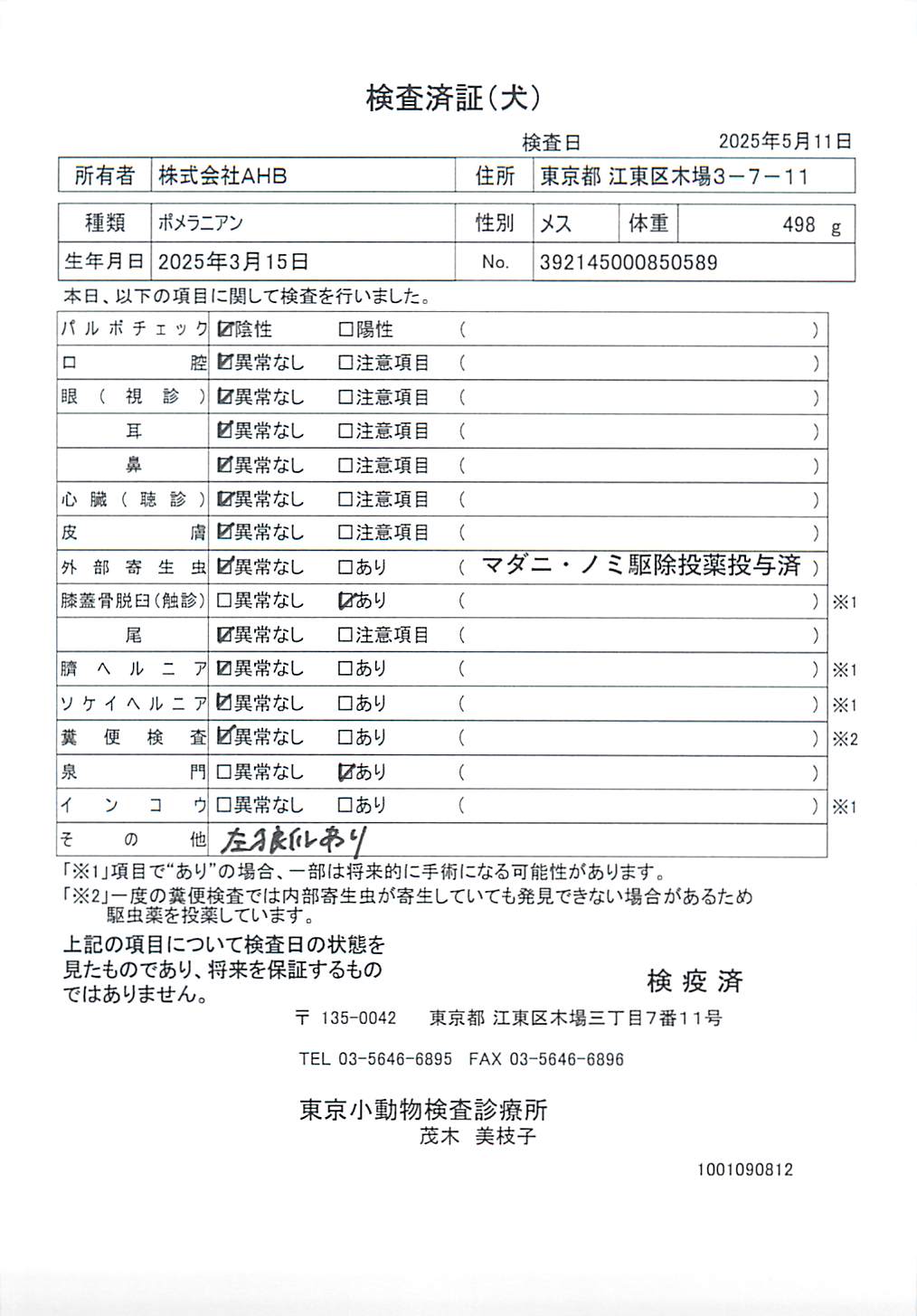 ポメラニアン