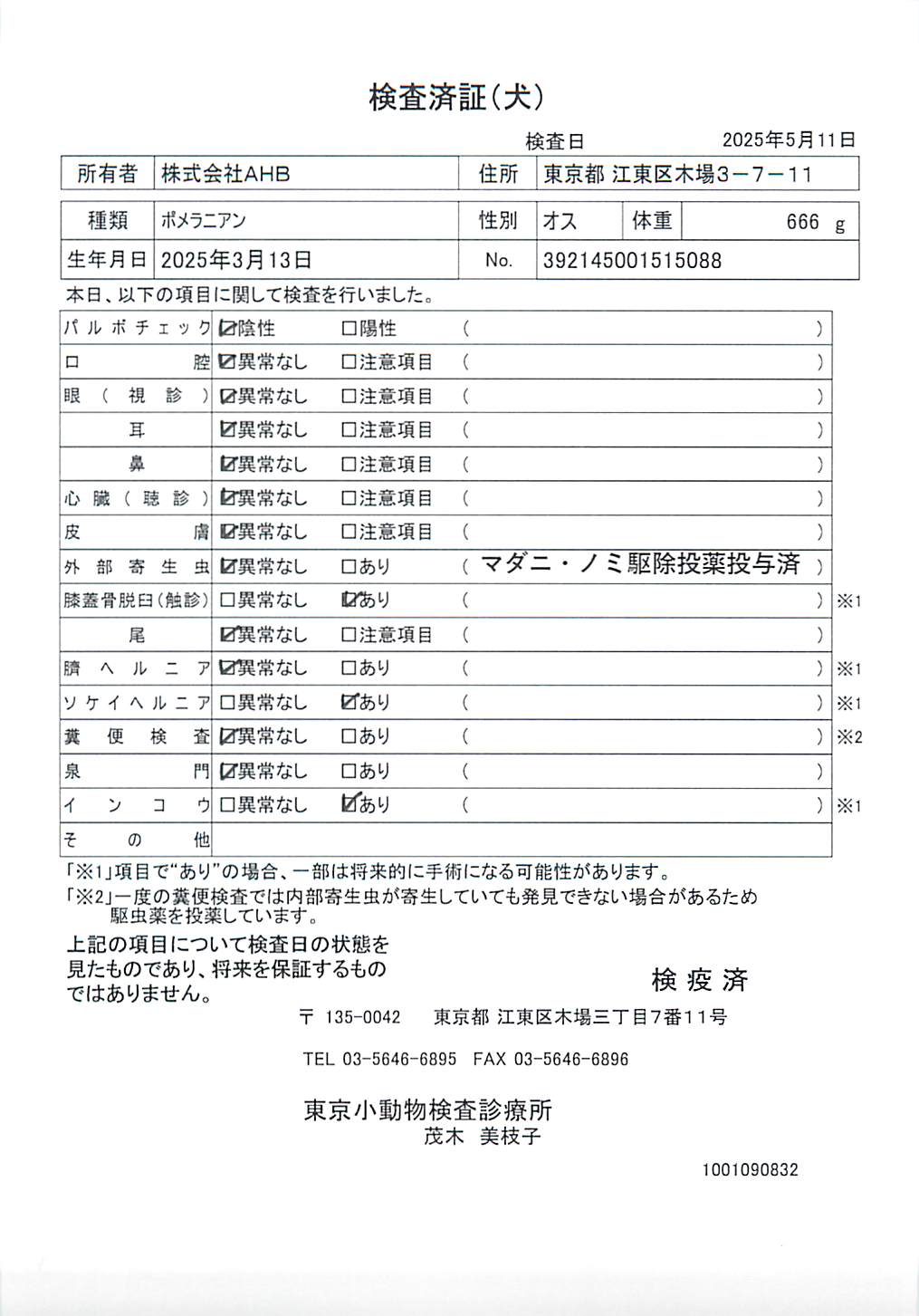 ポメラニアン
