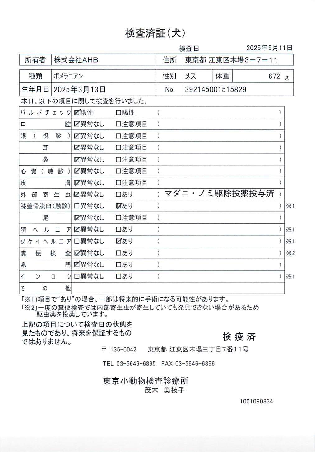 ポメラニアン