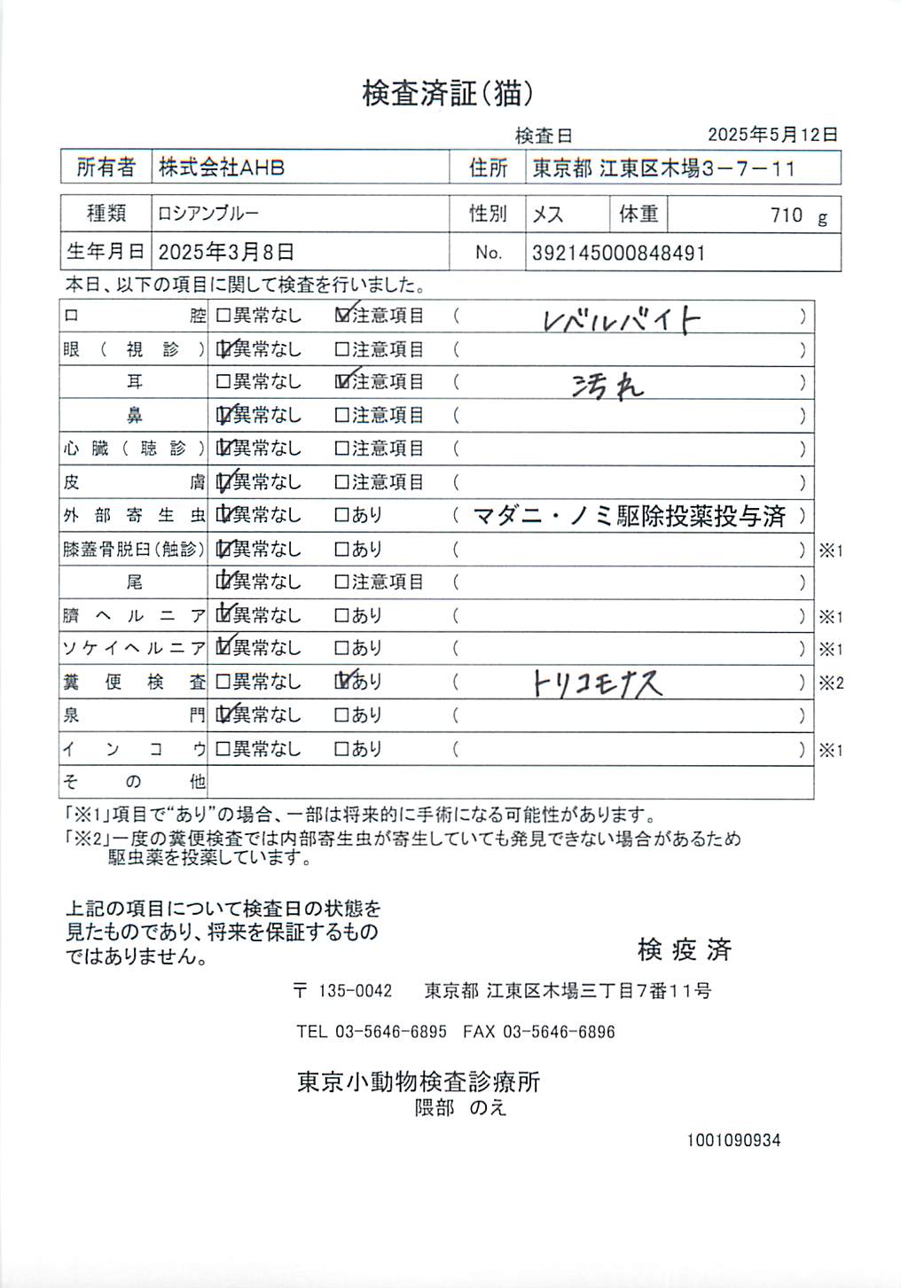 ロシアンブルー