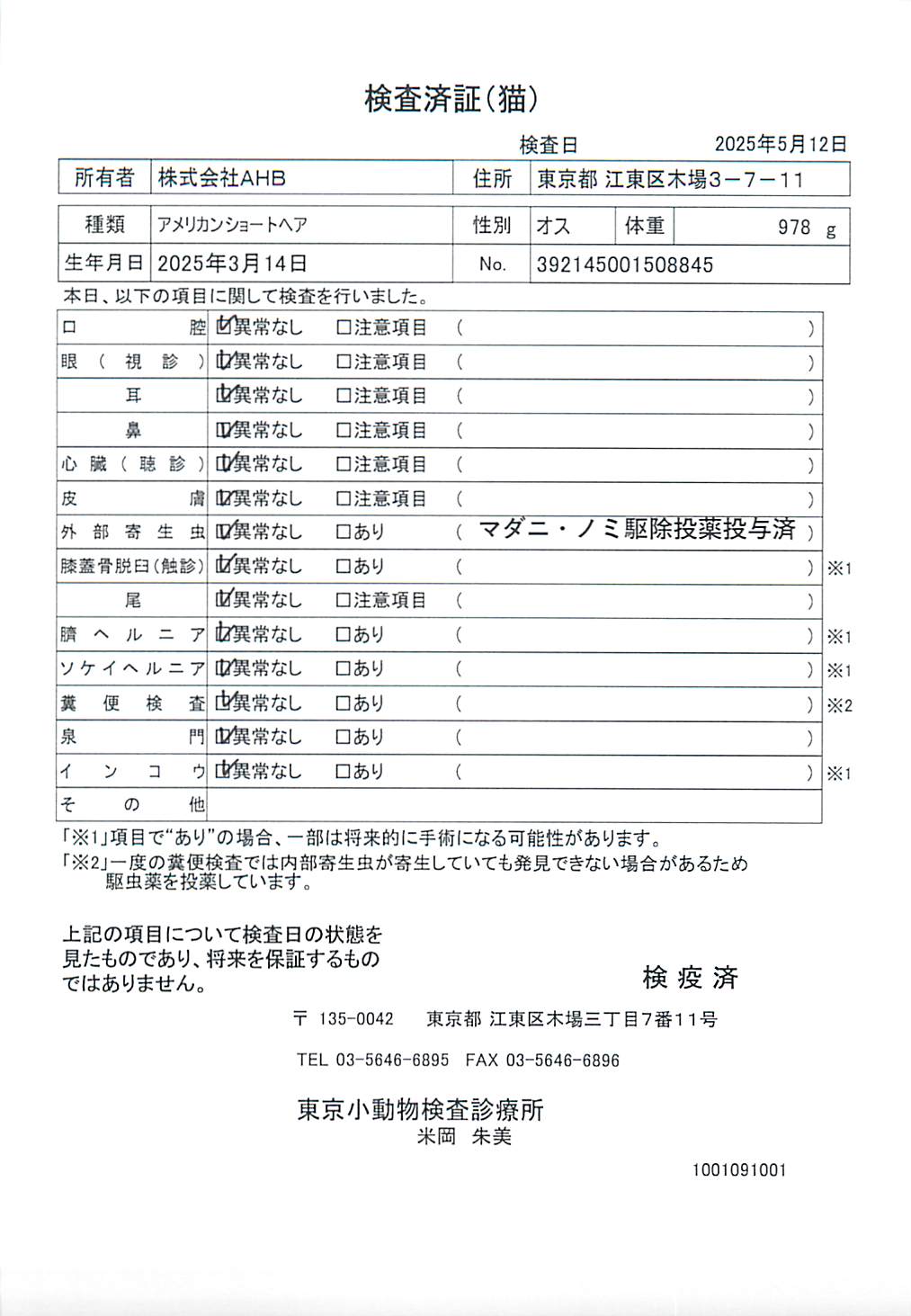 アメリカンショートヘア