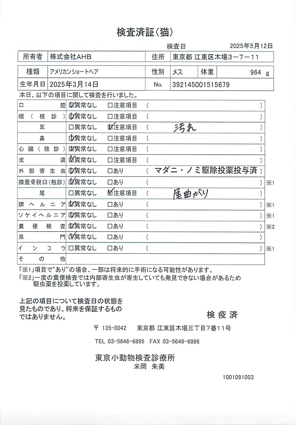 アメリカンショートヘア