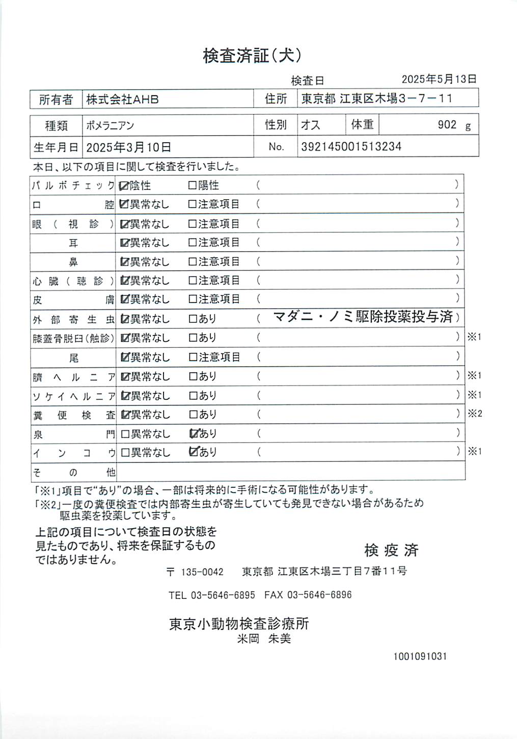 ポメラニアン