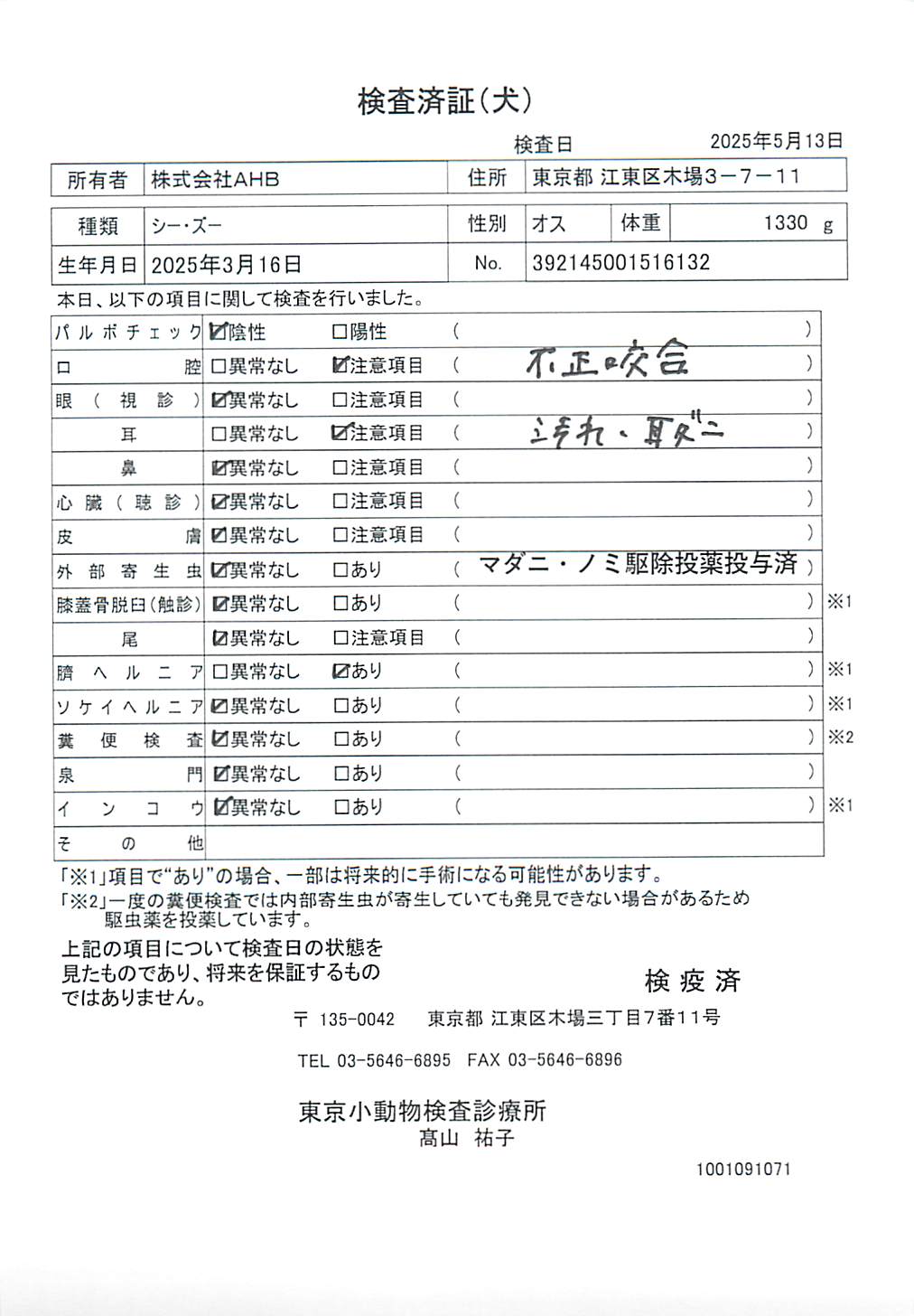 シー・ズー