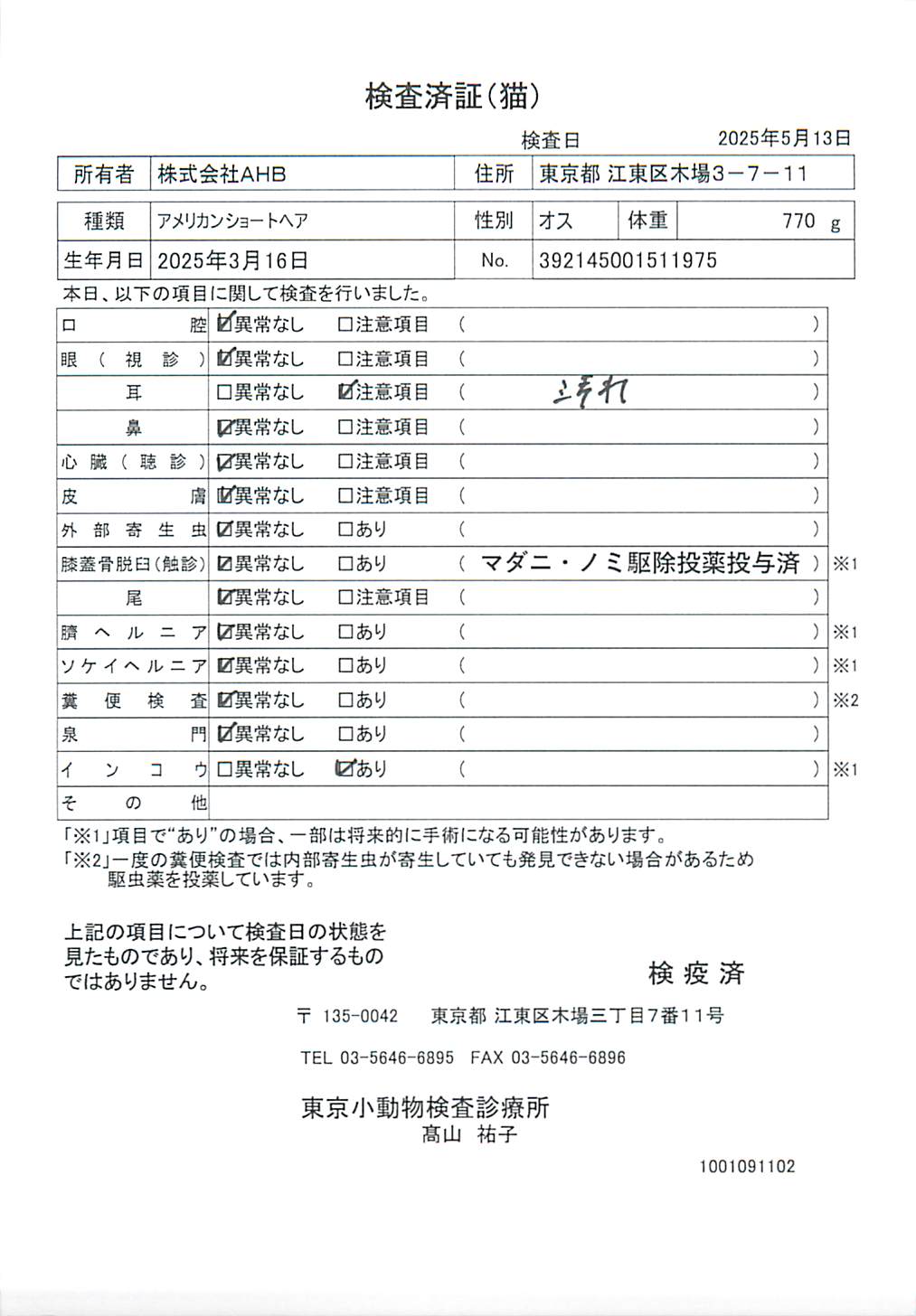 アメリカンショートヘア