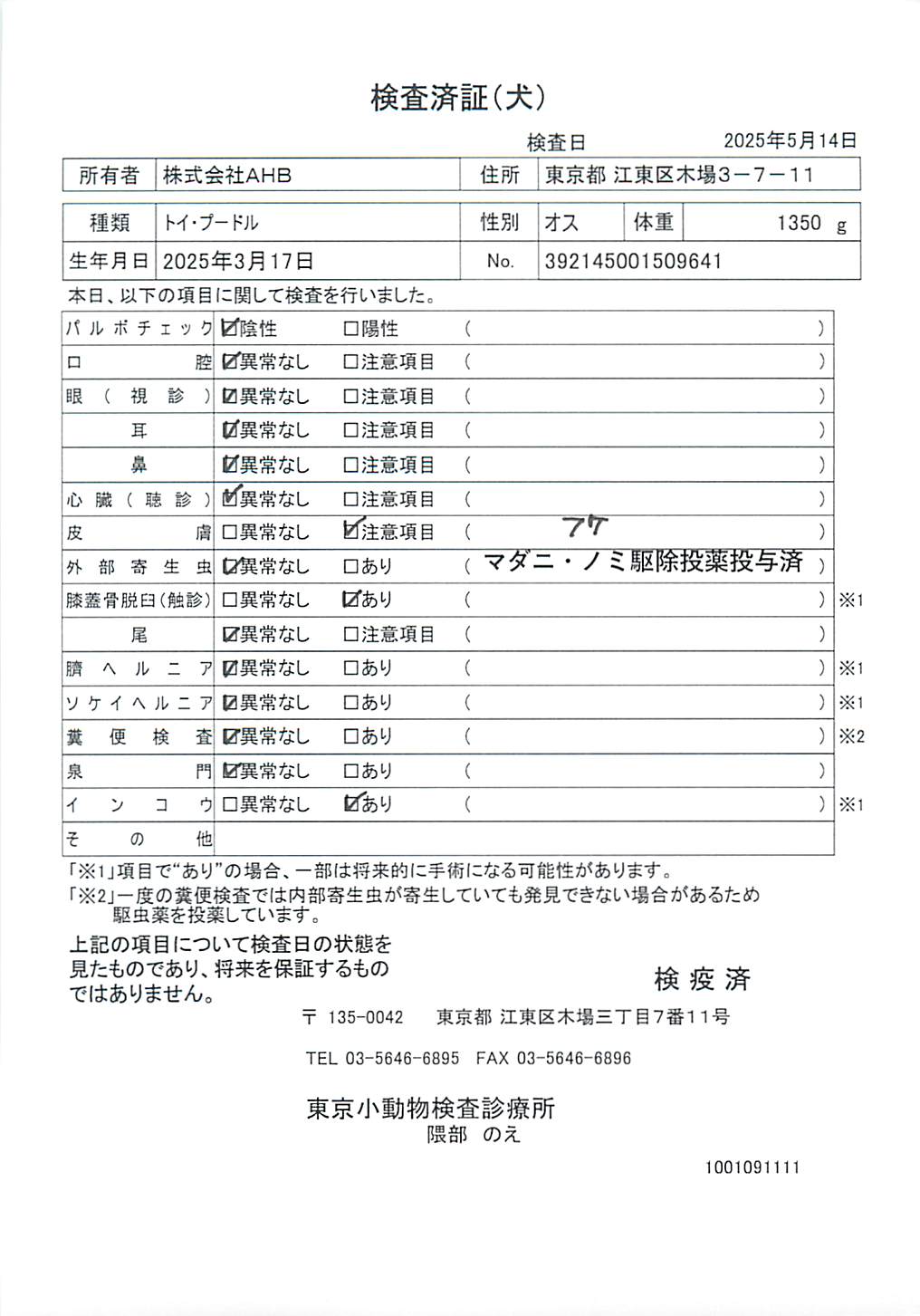 トイ・プードル
