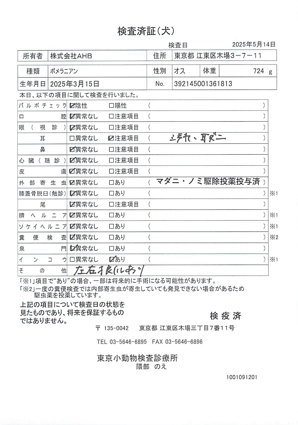 ポメラニアン