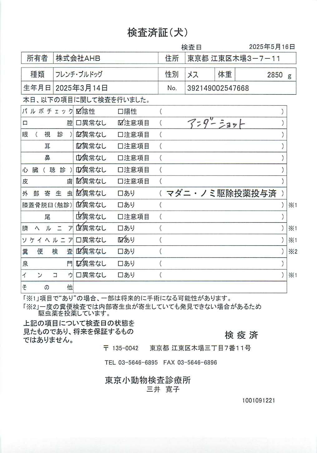フレンチ・ブルドッグ