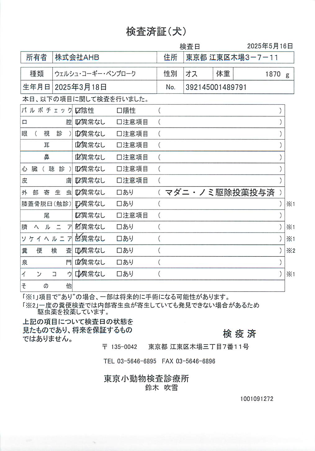 ウェルシュ・コーギー・ペンブローク