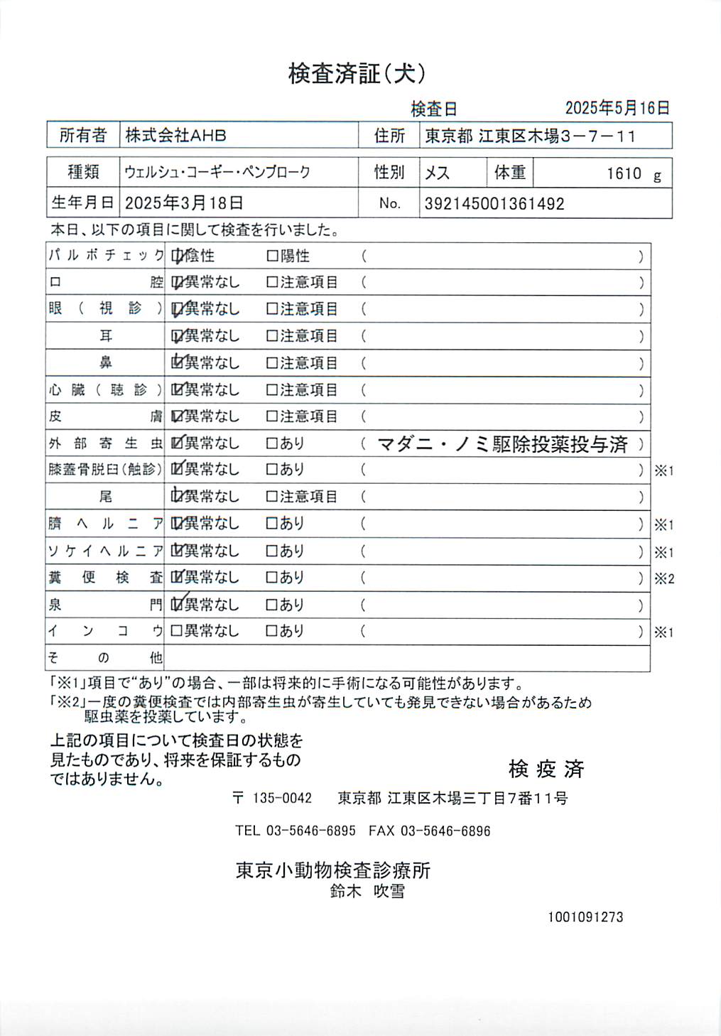 ウェルシュ・コーギー・ペンブローク
