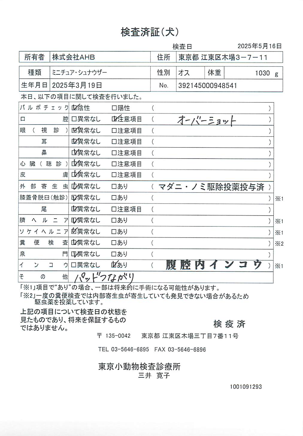 ミニチュア・シュナウザー