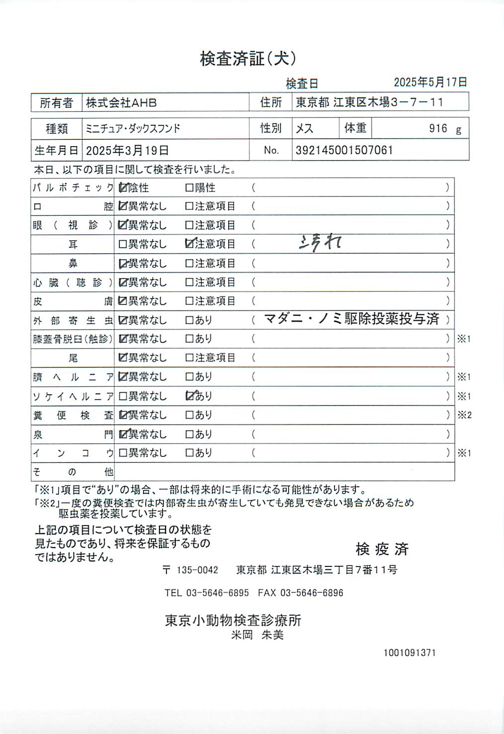 ミニチュア・ダックスフンド