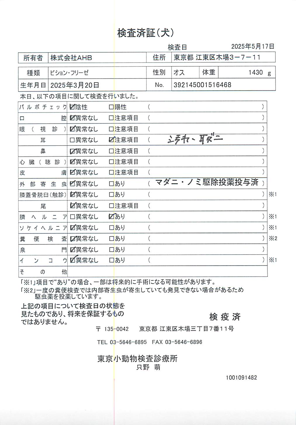 ビション・フリーゼ