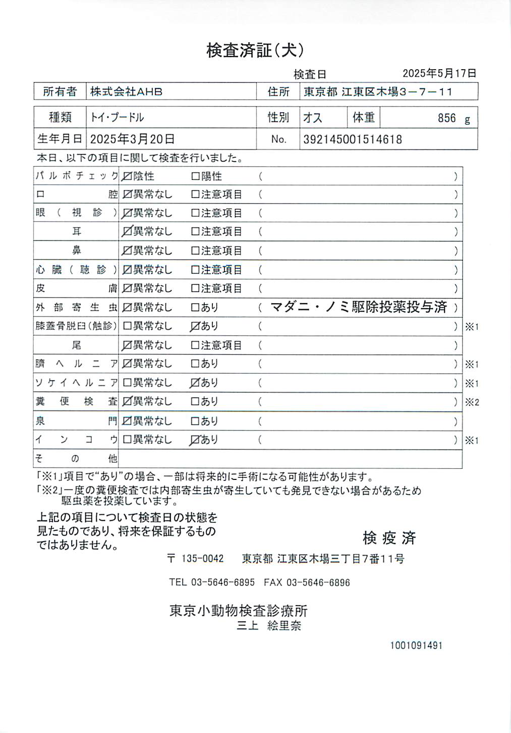 トイ・プードル