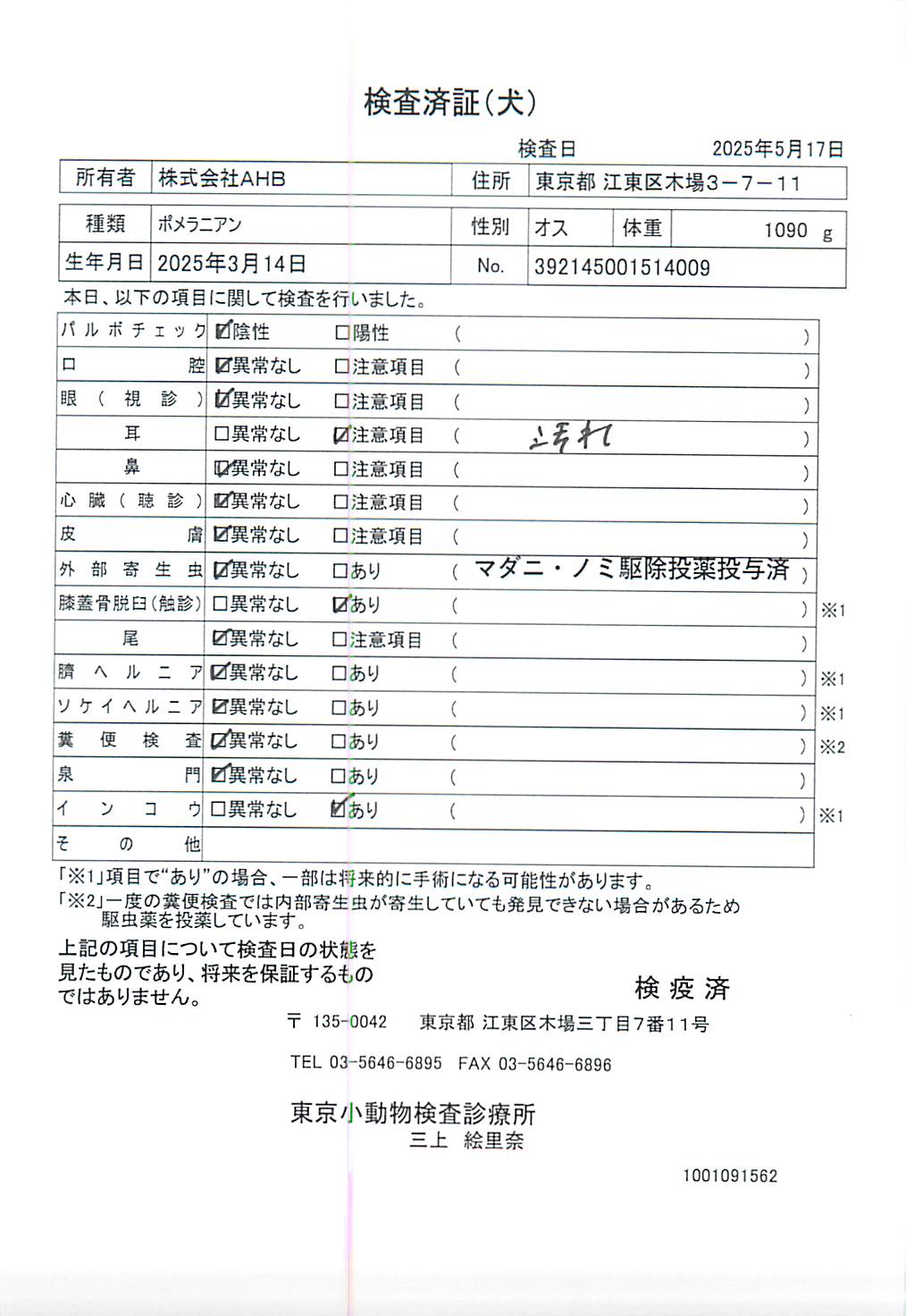 ポメラニアン