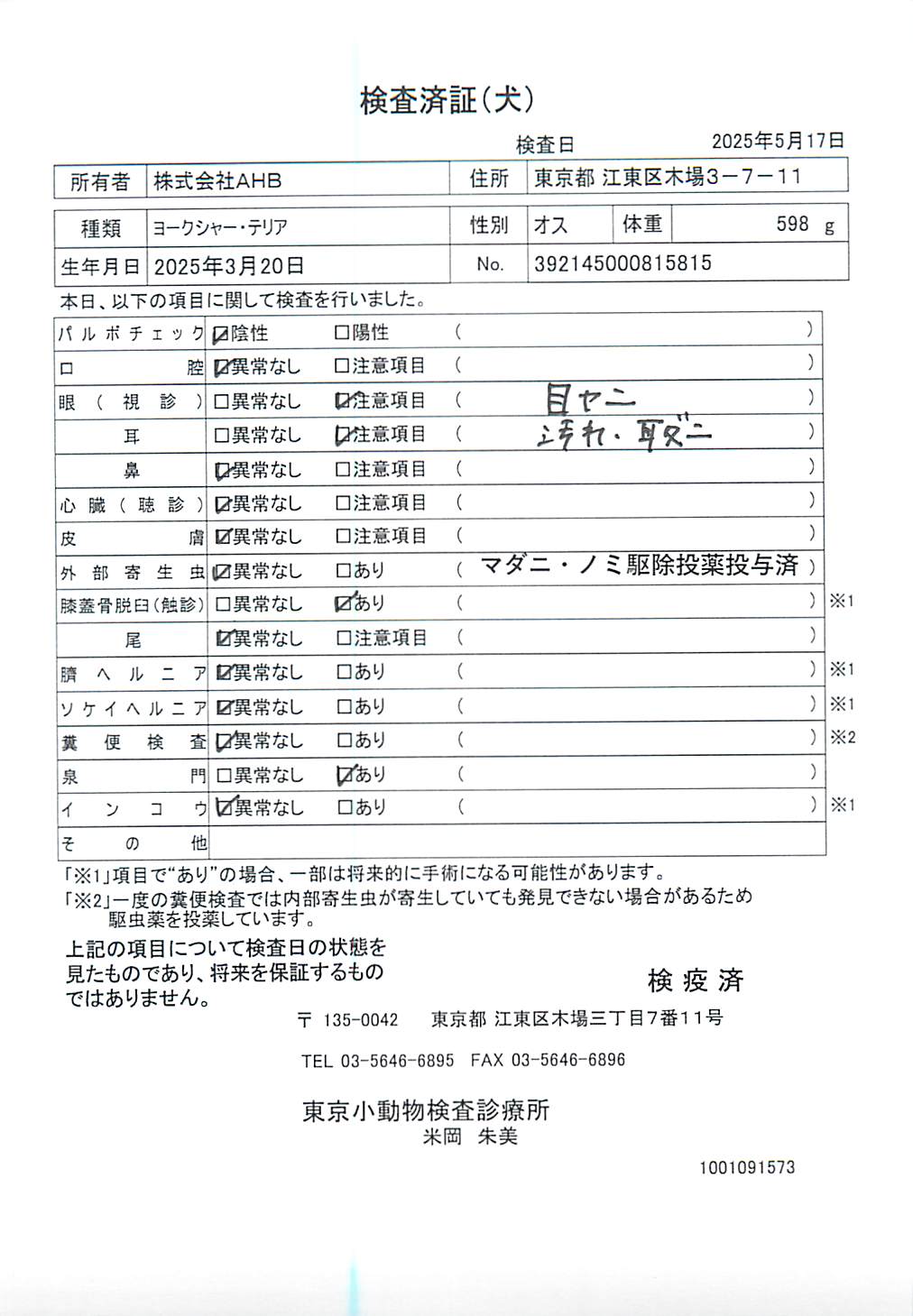 ヨークシャー・テリア