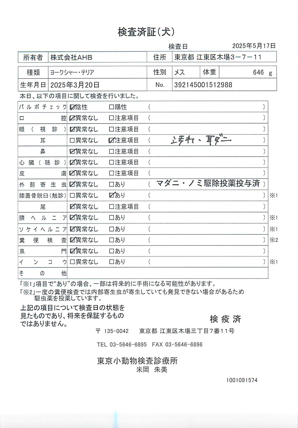 ヨークシャー・テリア