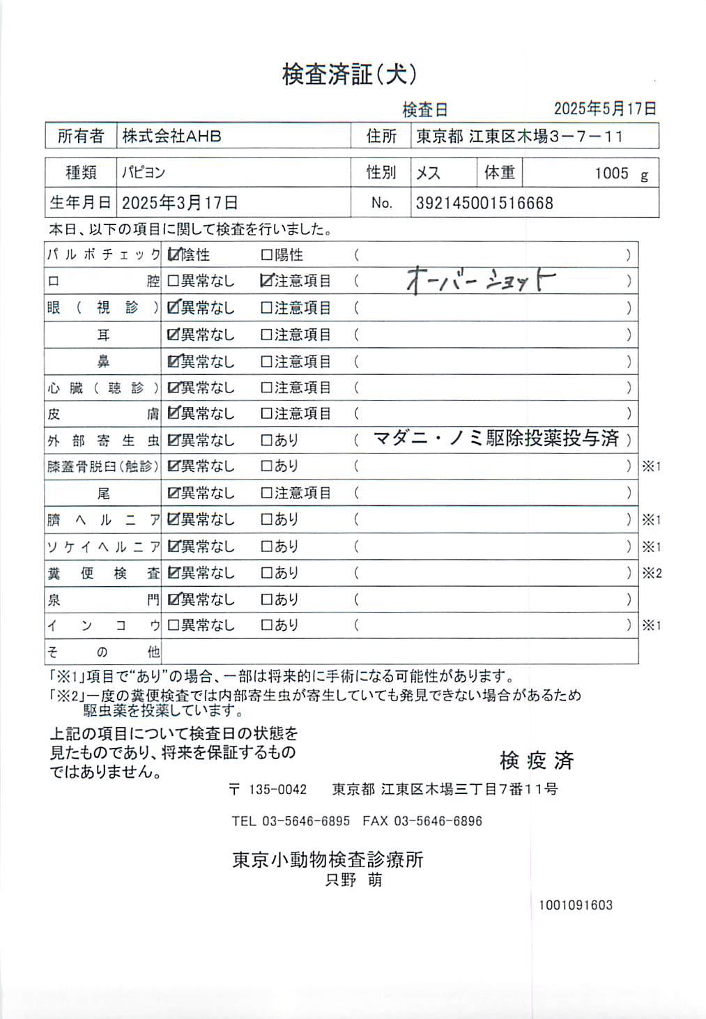 パピヨン