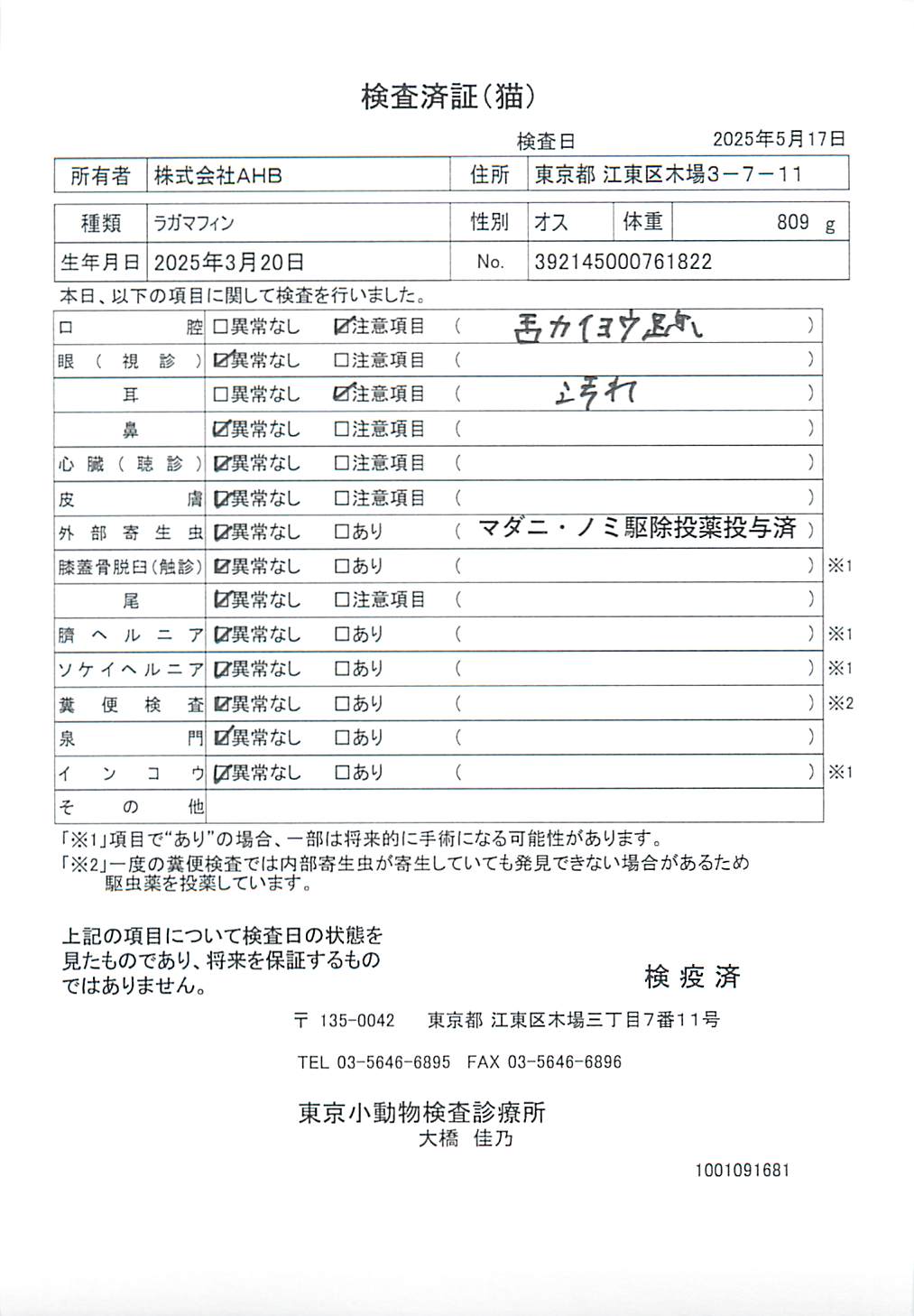 ラガマフィン