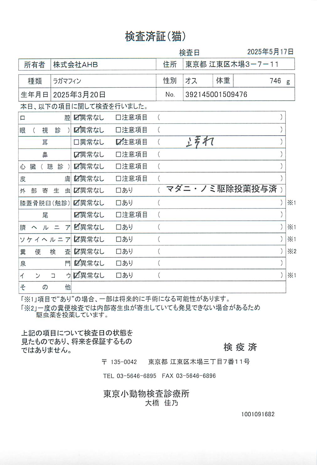 ラガマフィン