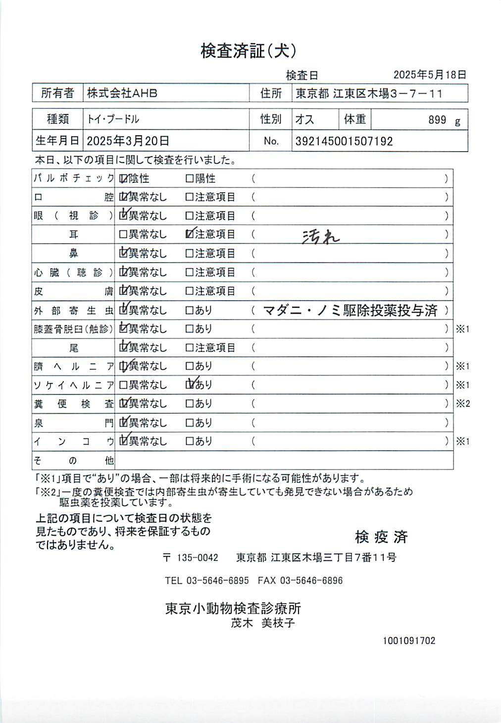 トイ・プードル