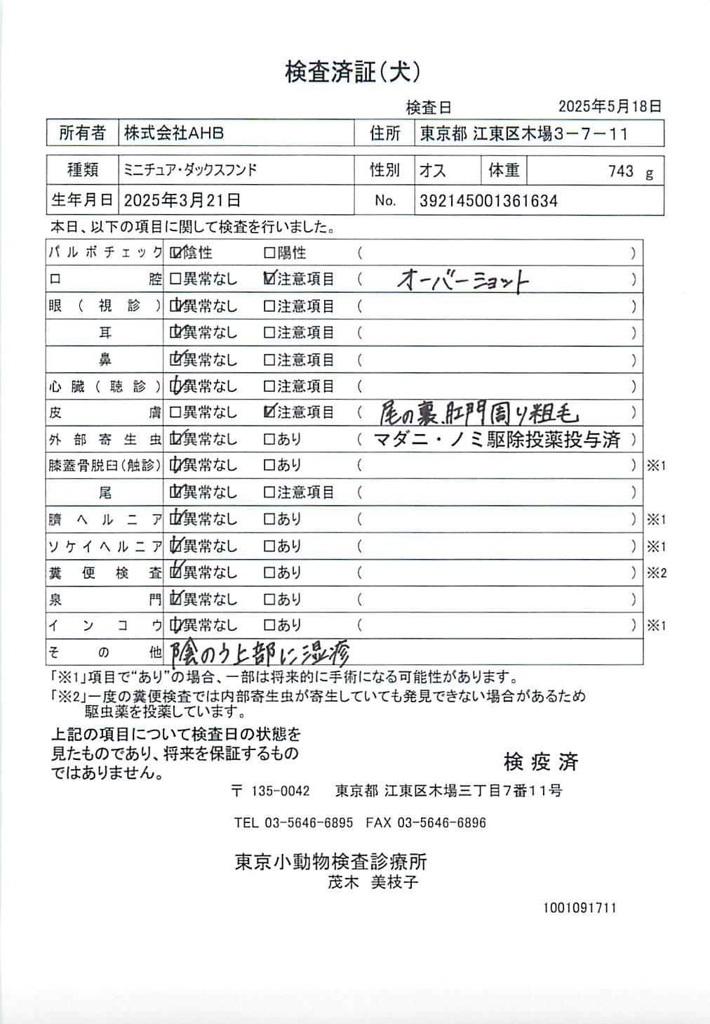 ミニチュア・ダックスフンド