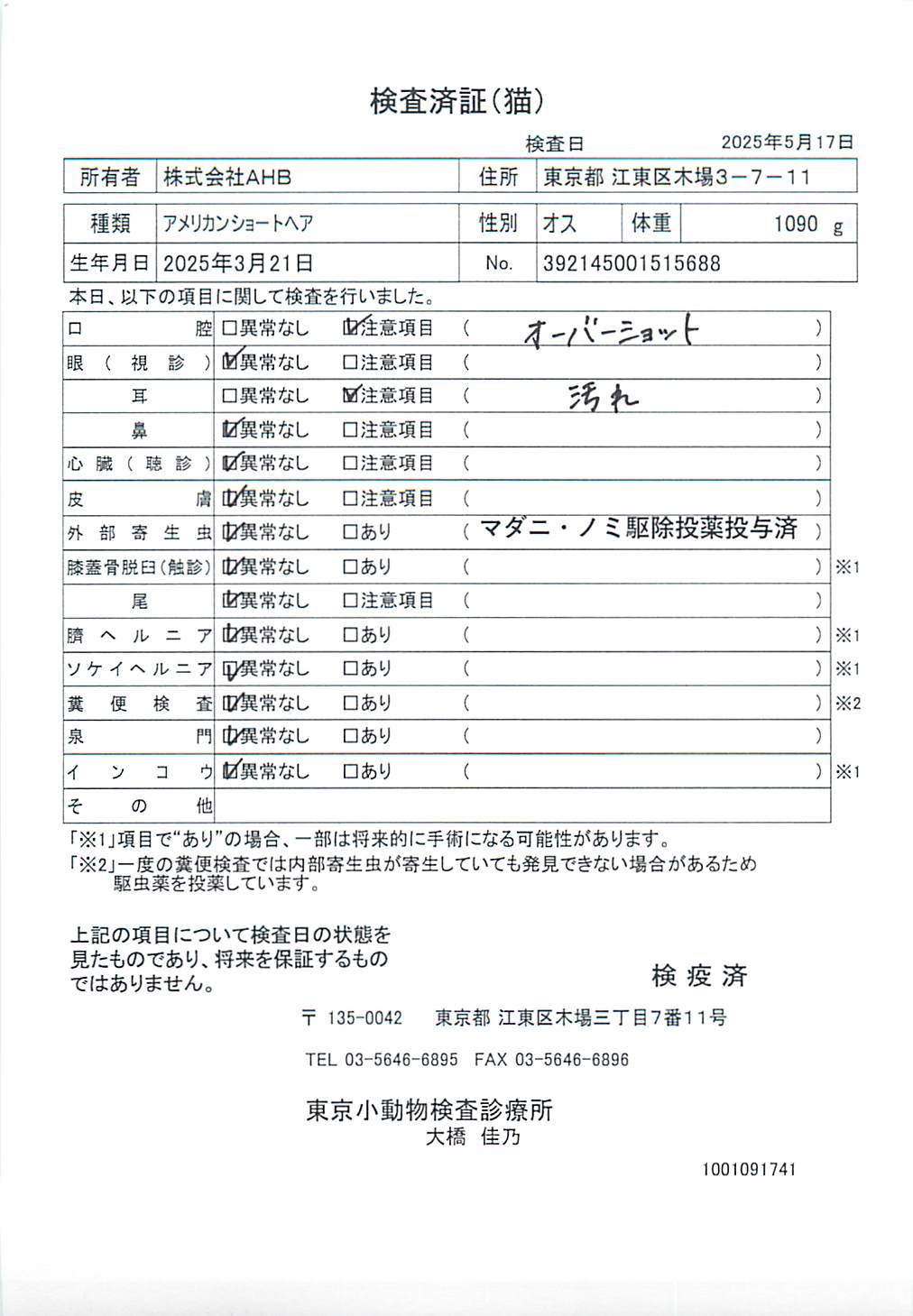アメリカンショートヘア