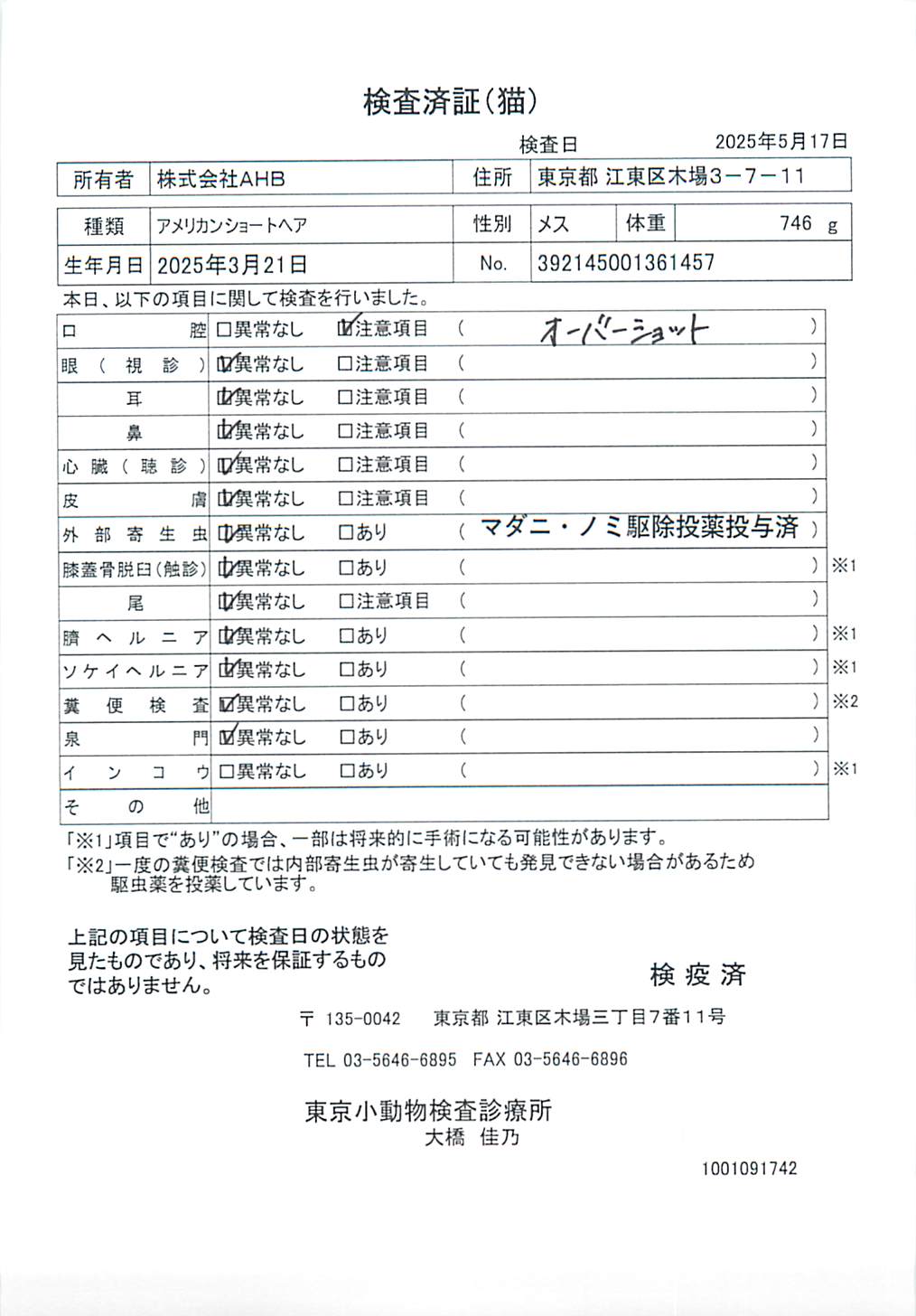 アメリカンショートヘア