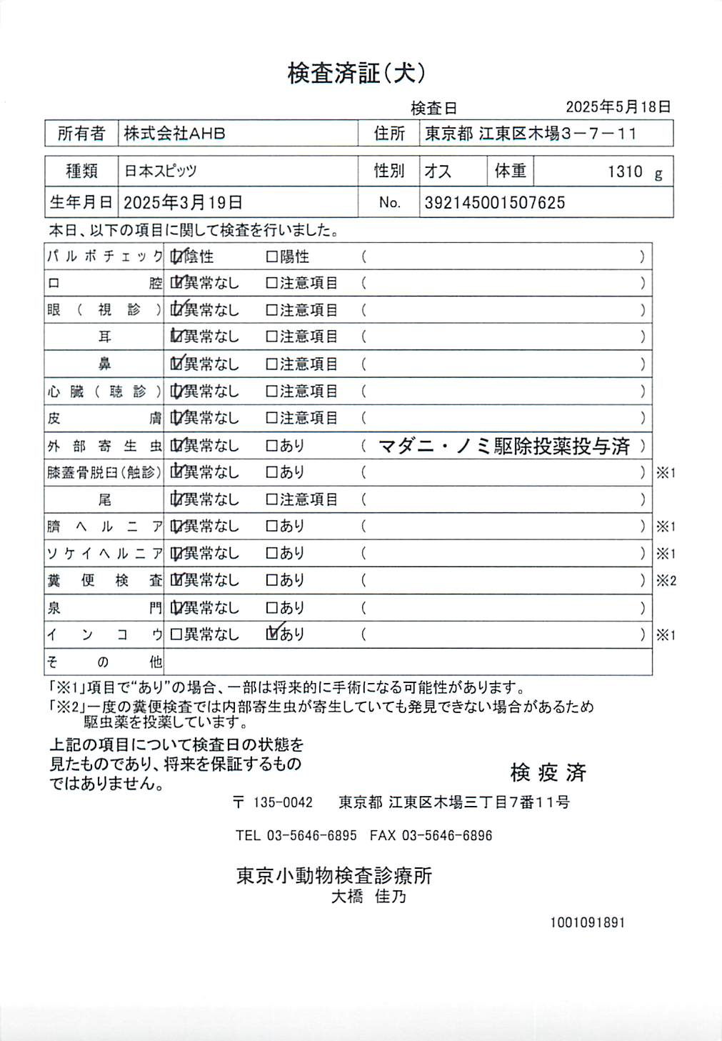 日本スピッツ