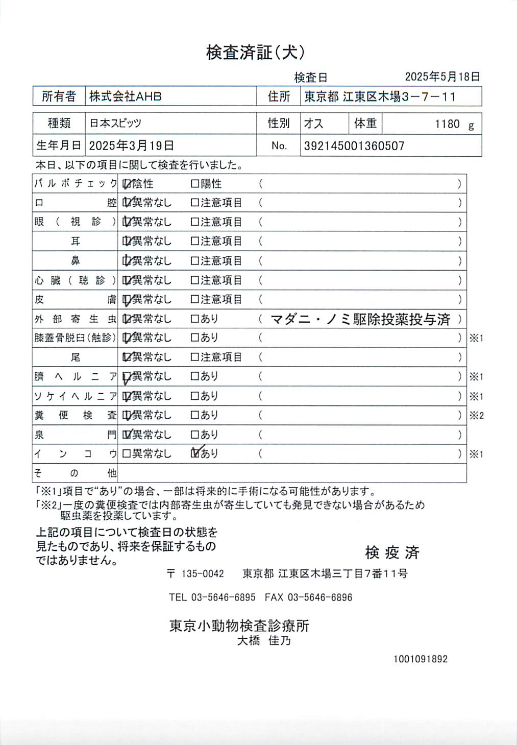 日本スピッツ