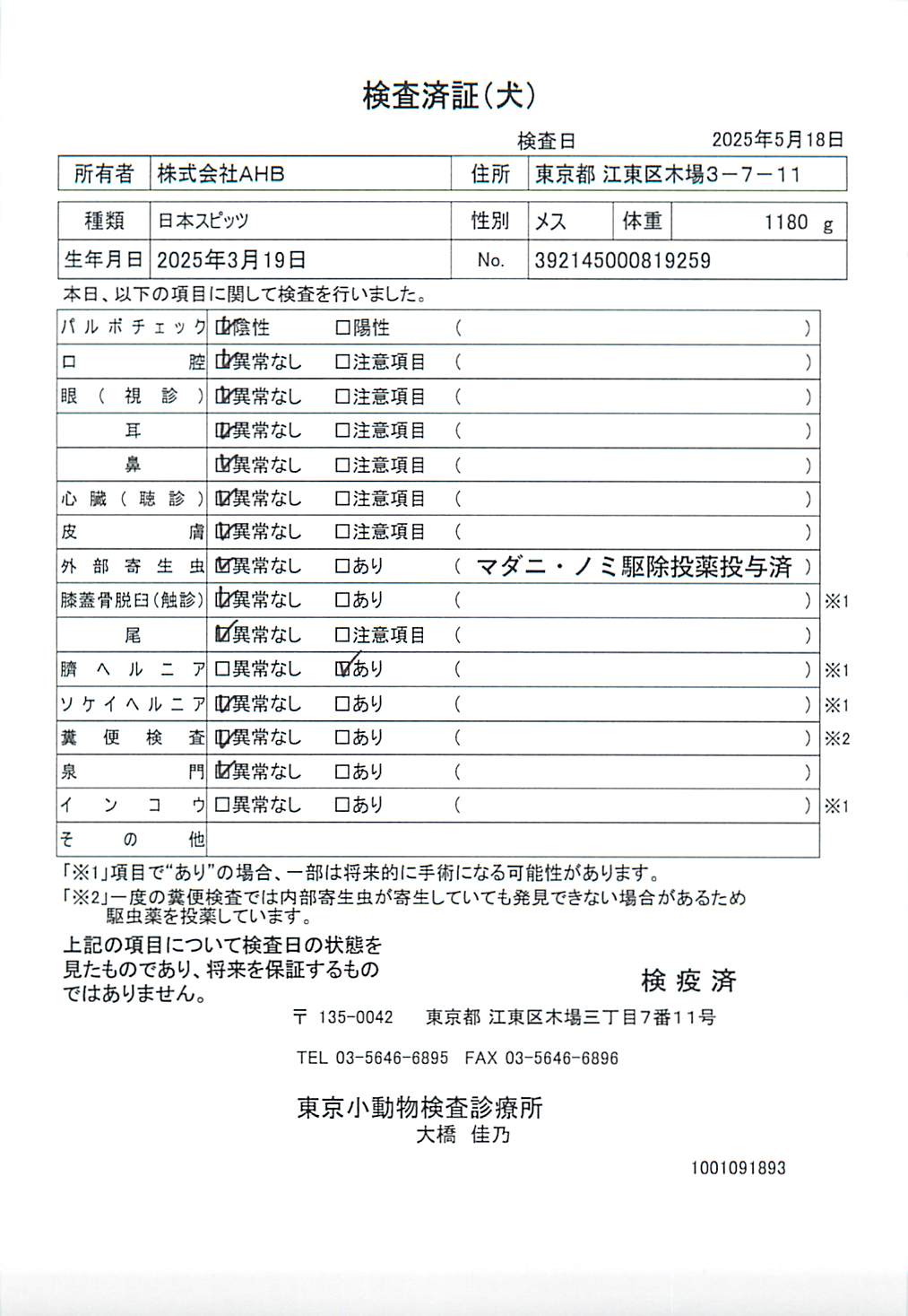 日本スピッツ