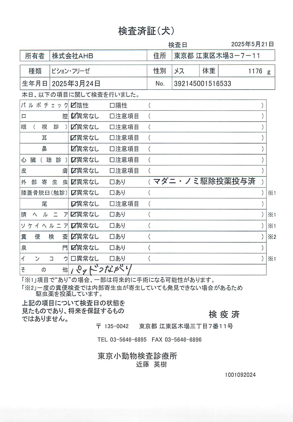 ビション・フリーゼ