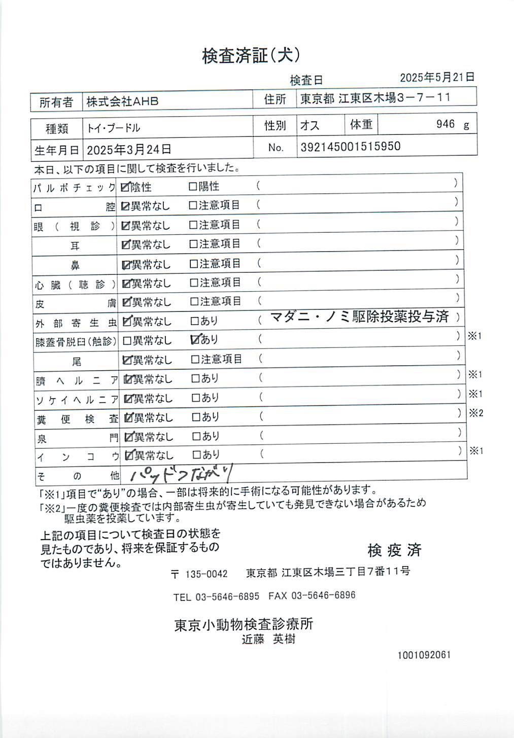 トイ・プードル