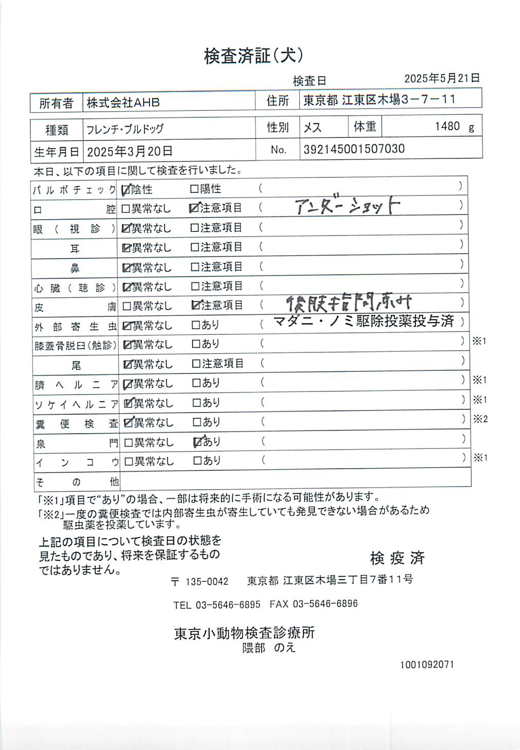 フレンチ・ブルドッグ