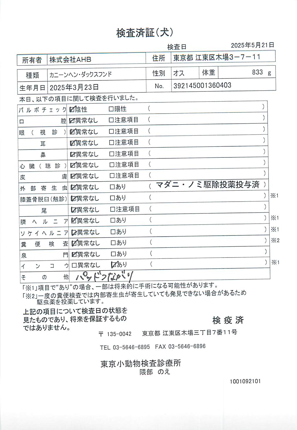 カニーンヘン・ダックスフンド
