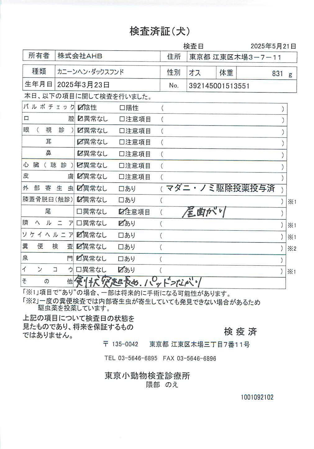カニーンヘン・ダックスフンド