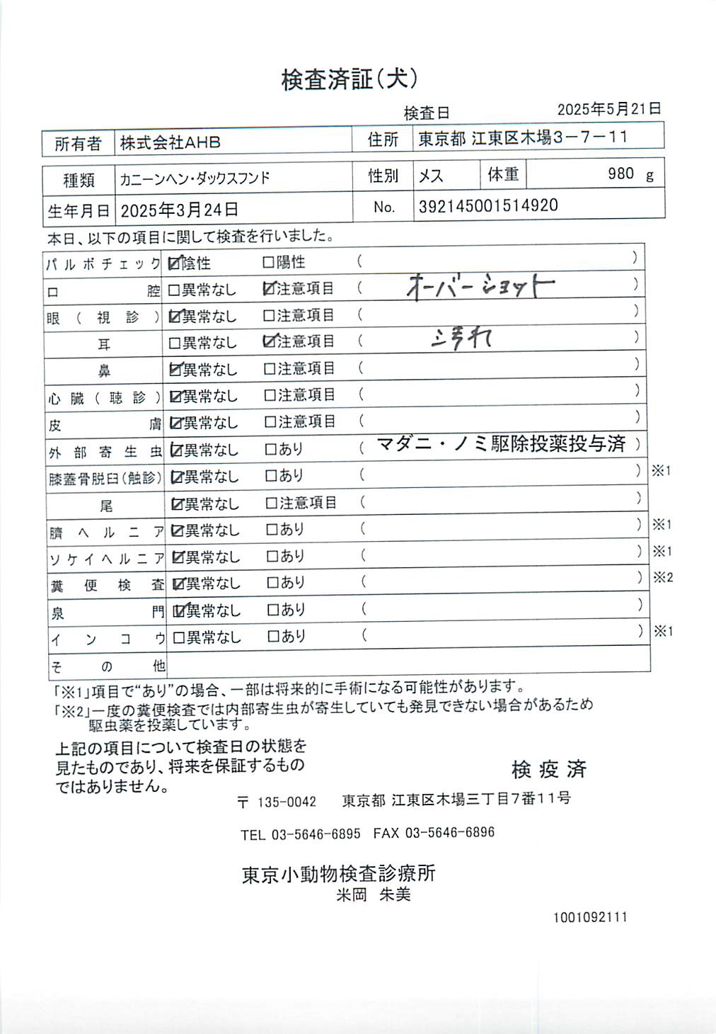 カニーンヘン・ダックスフンド