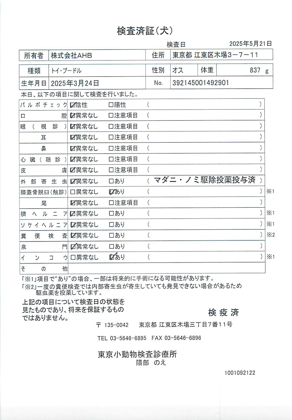 トイ・プードル