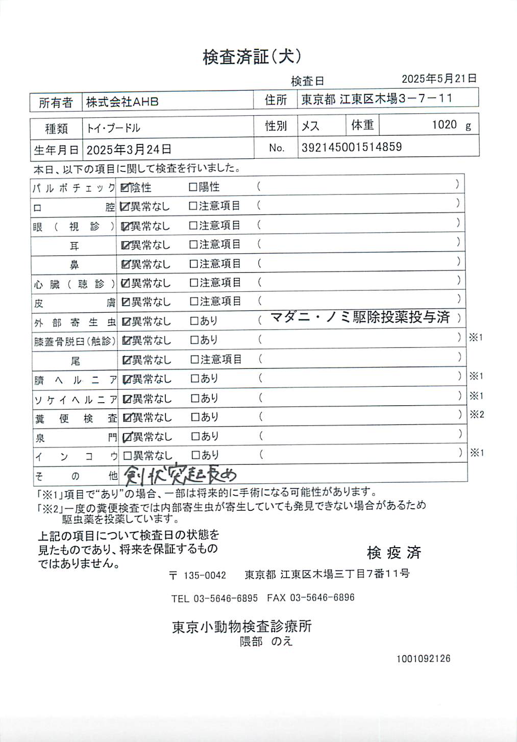トイ・プードル