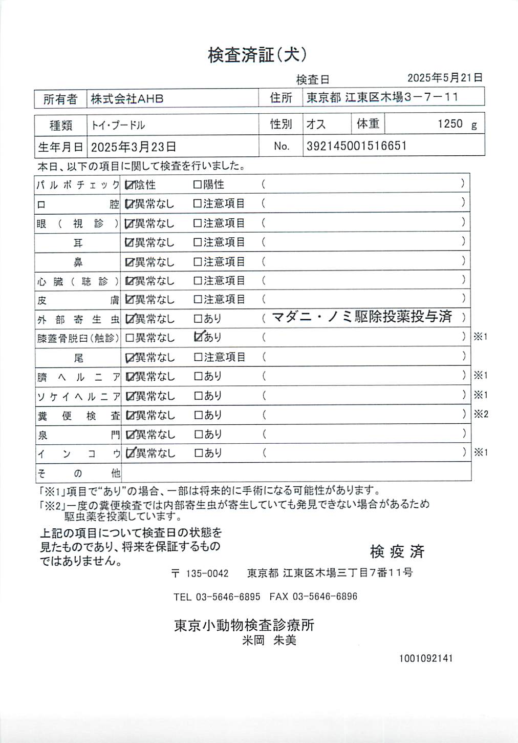 トイ・プードル