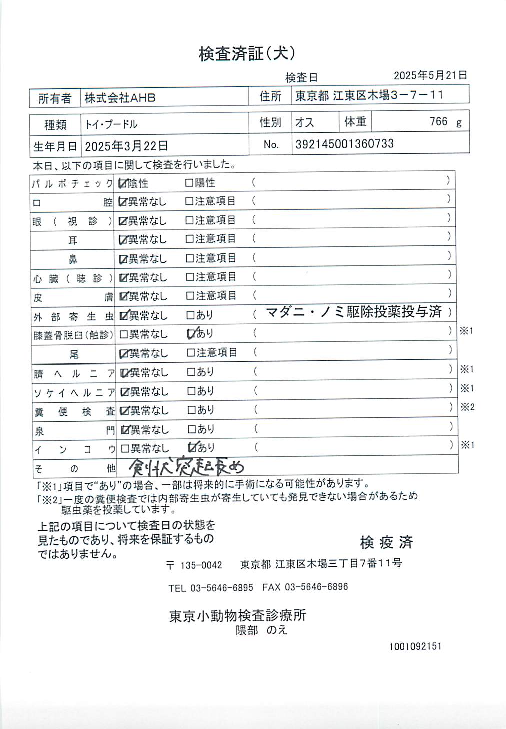 トイ・プードル