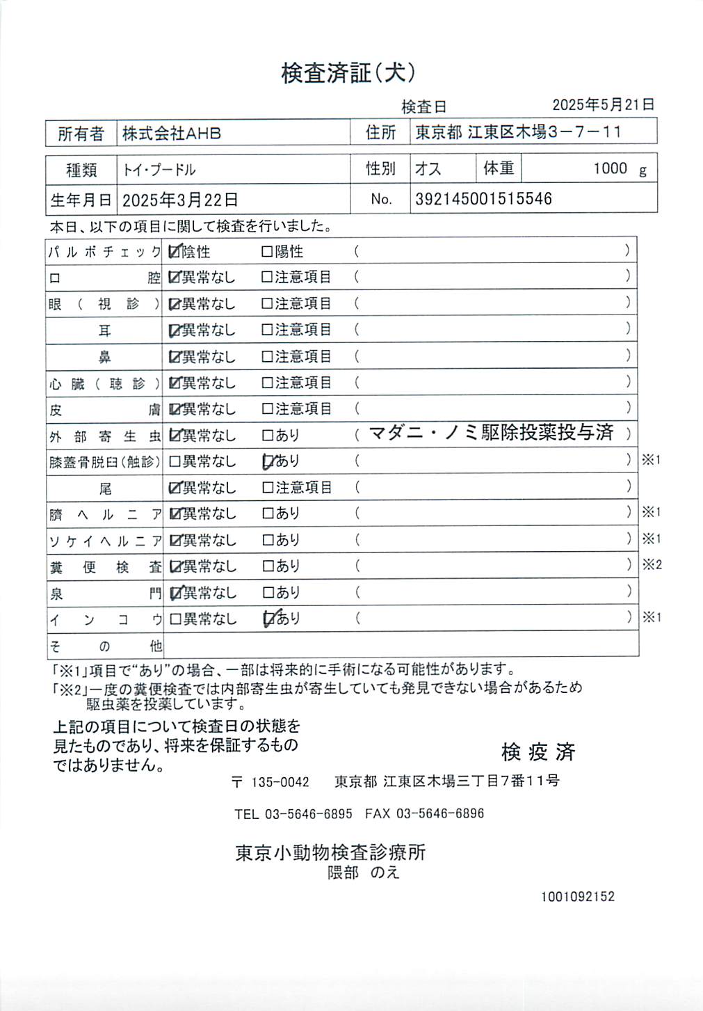 トイ・プードル