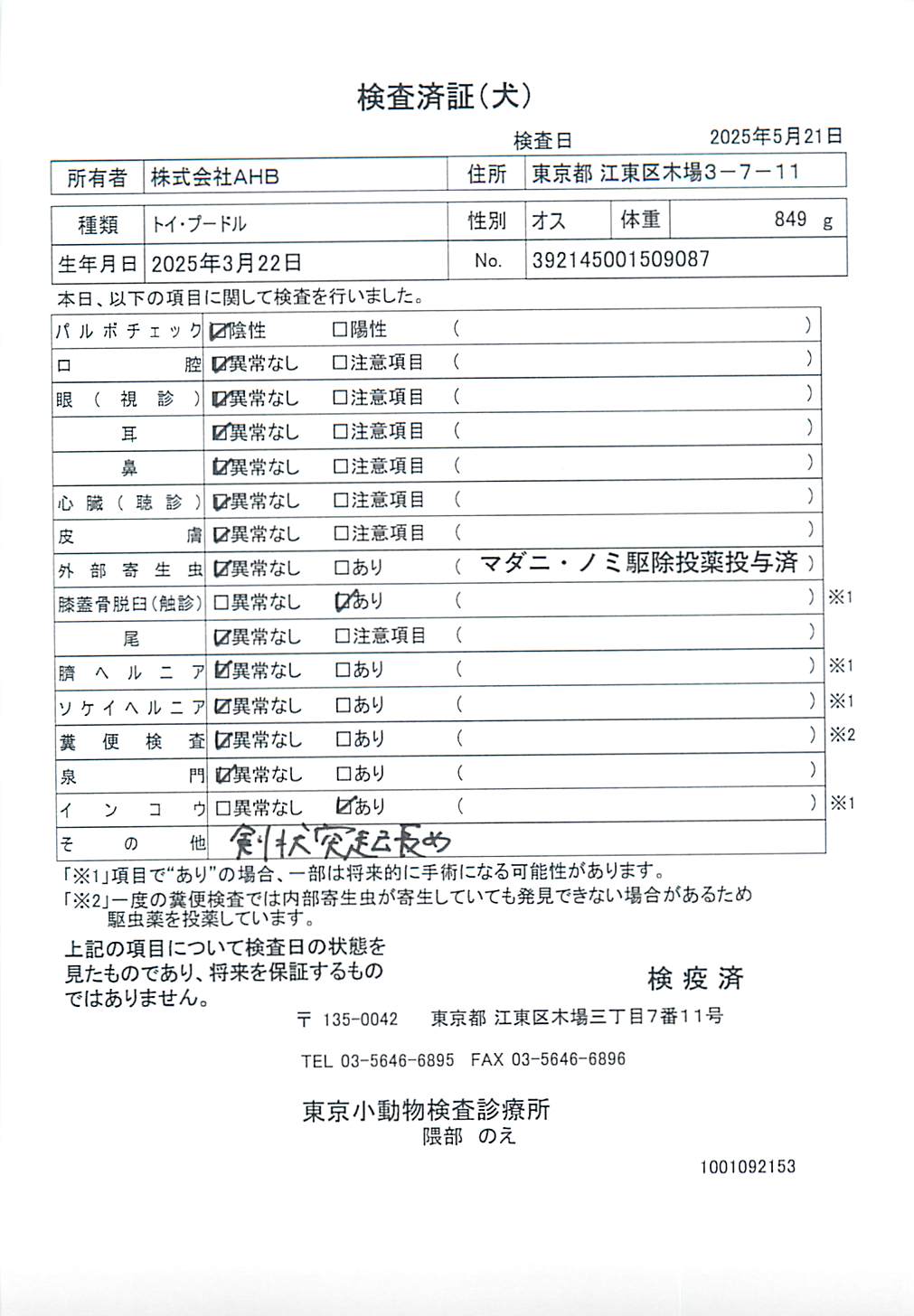 トイ・プードル