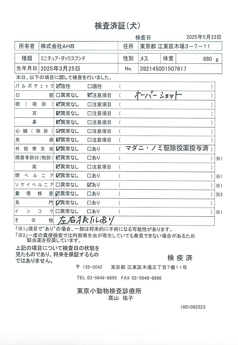 ミニチュア・ダックスフンド