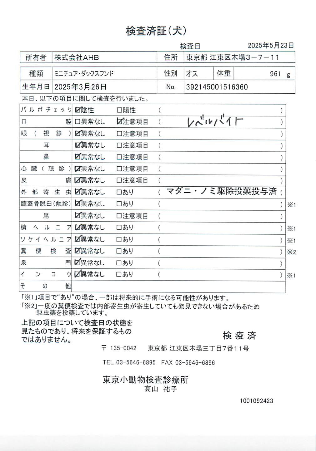 ミニチュア・ダックスフンド