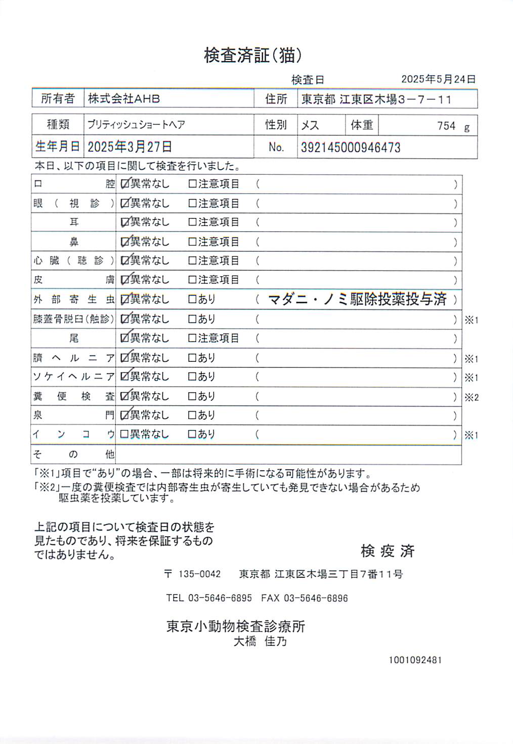 ブリティッシュショートヘア