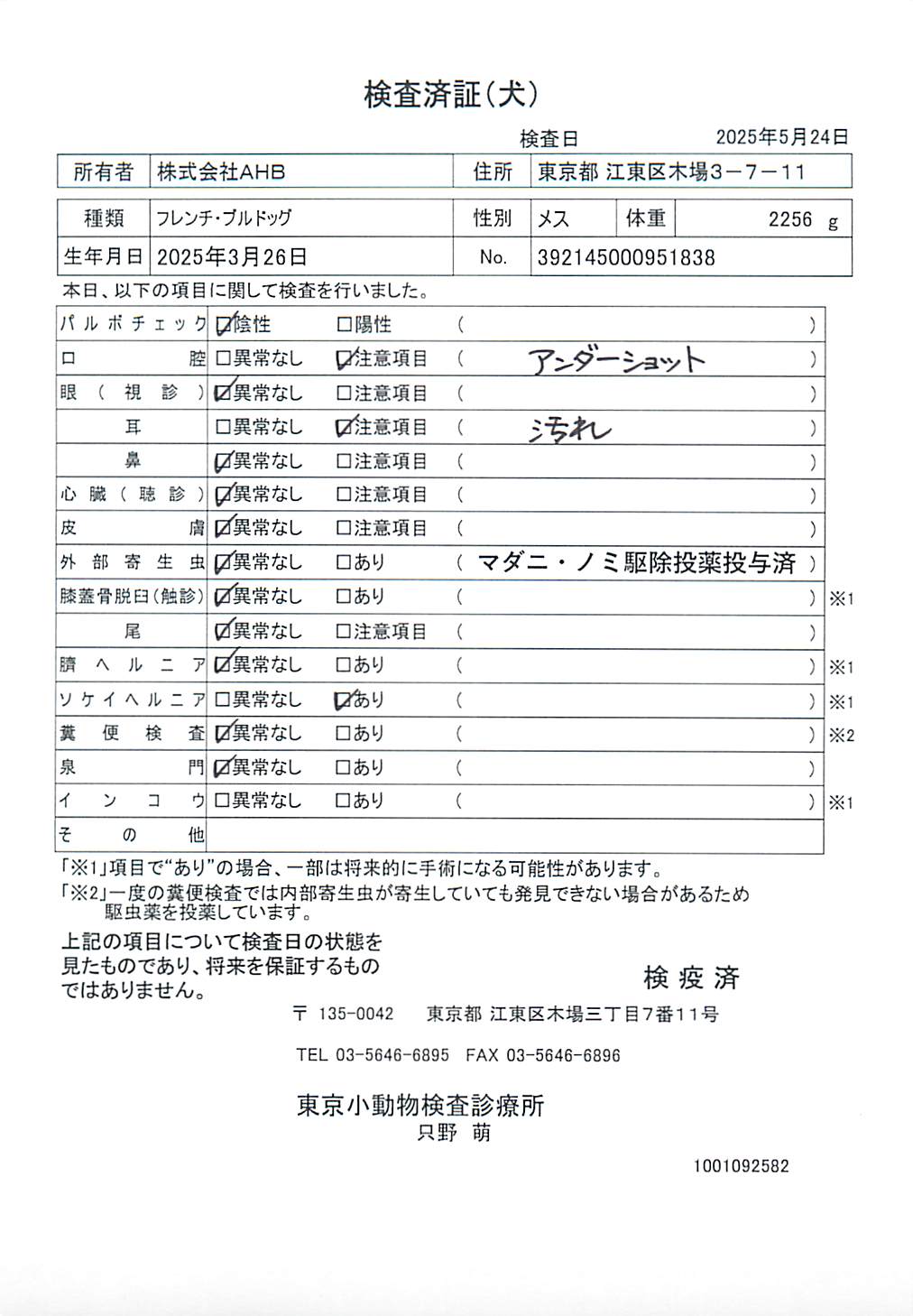 フレンチ・ブルドッグ