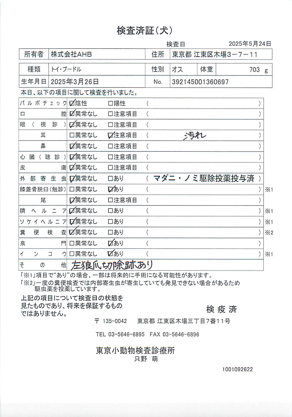 トイ・プードル