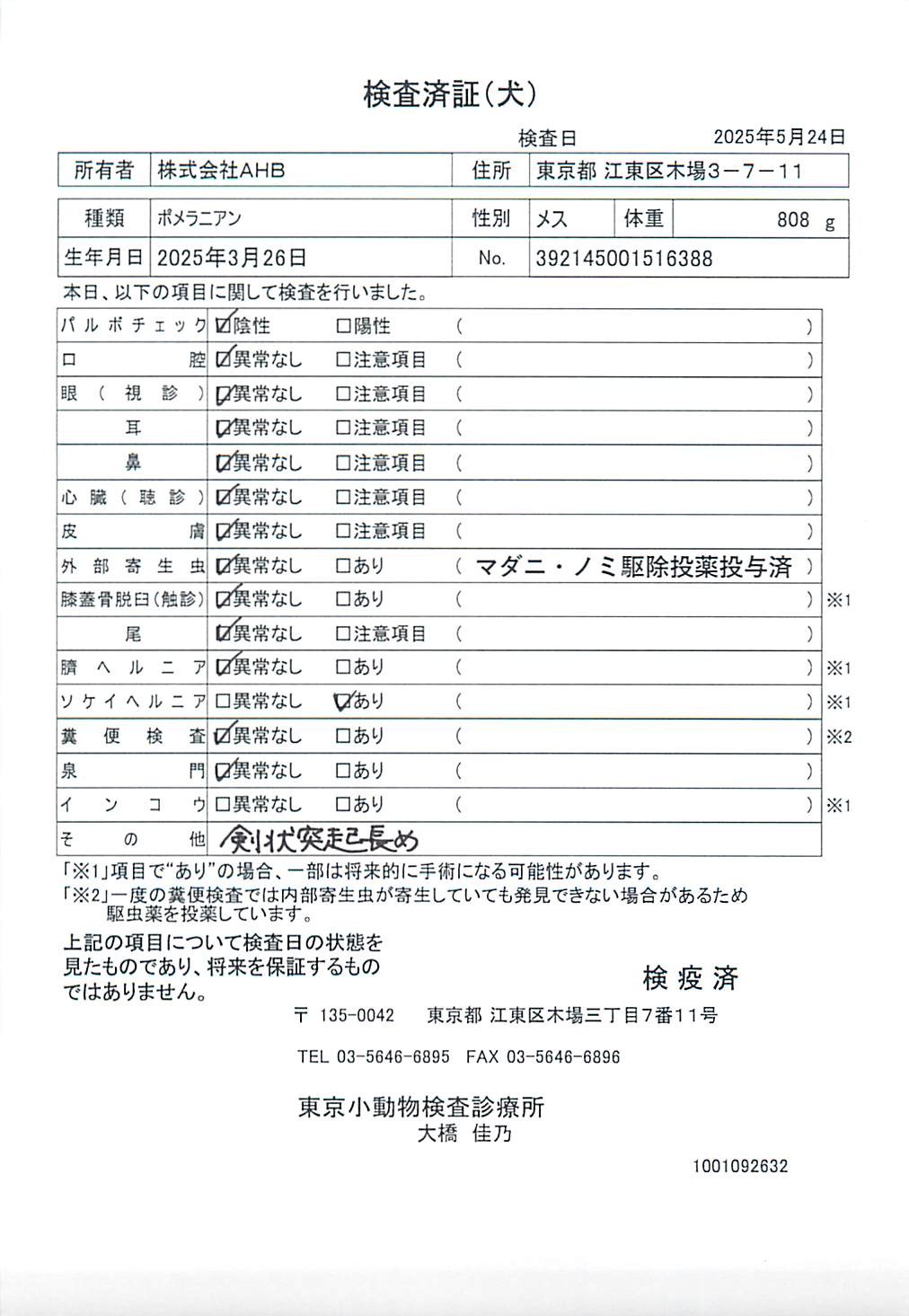 ポメラニアン